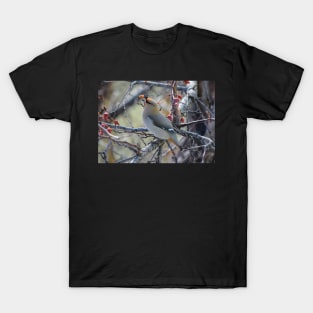 Bohemian Waxwing. T-Shirt